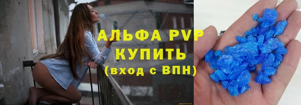 шишки Медвежьегорск