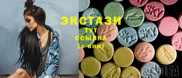 шишки Медвежьегорск
