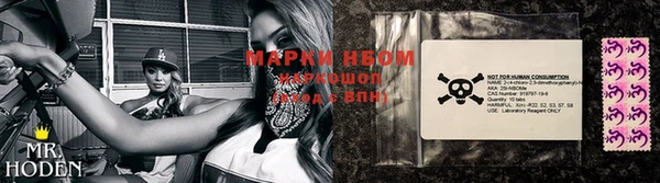 шишки Медвежьегорск